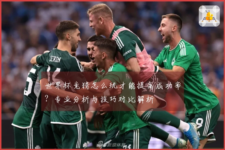 世界杯竞猜怎么玩才能提高成功率？专业分析与技巧对比解析