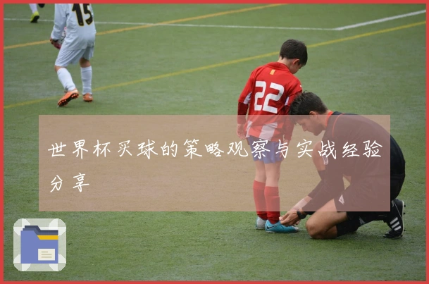 世界杯买球的策略观察与实战经验分享