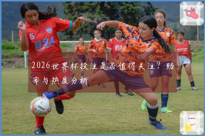 2026世界杯投注是否值得关注？赔率与热度分析