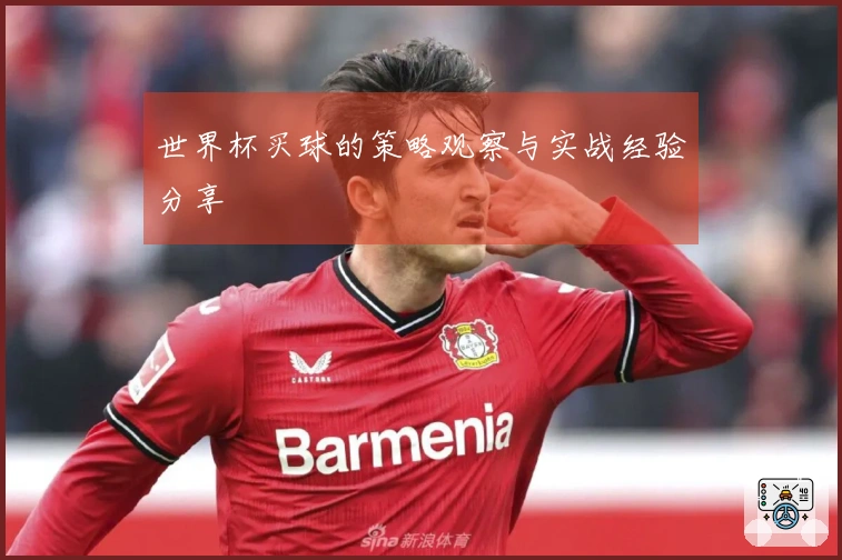 世界杯买球的策略观察与实战经验分享