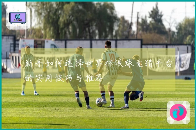 新手如何选择世界杯滚球竞猜平台的实用技巧与推荐